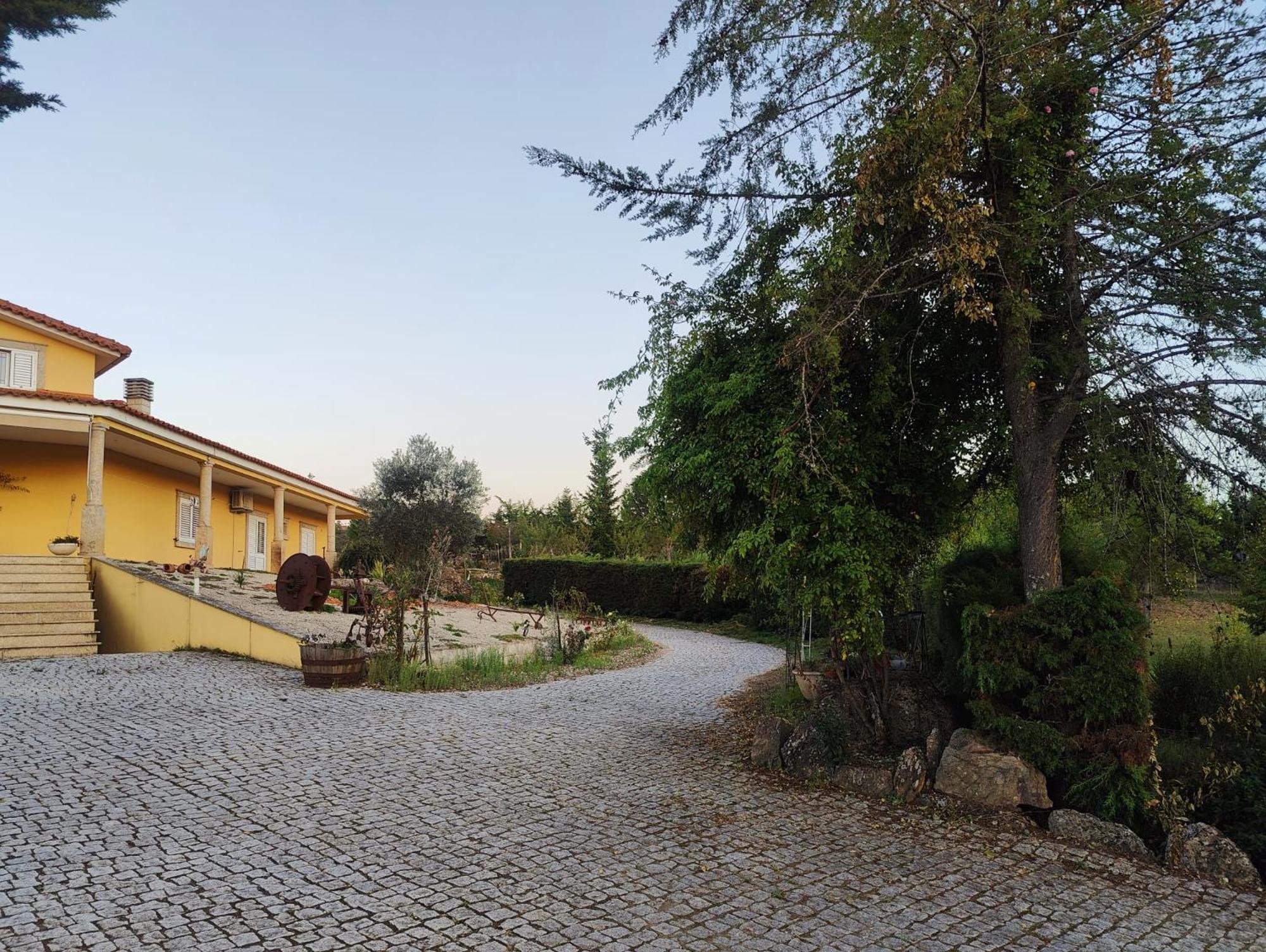 Quinta Da Libelinha Alojamento Local - Mirandela Dış mekan fotoğraf