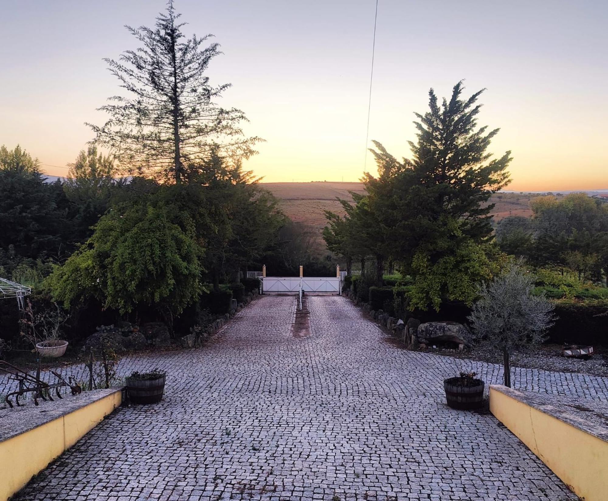 Quinta Da Libelinha Alojamento Local - Mirandela Dış mekan fotoğraf
